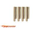 BRP 4mm Gold universal Bus (2pcs.) BRPD606