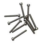 BRP Stainless Steel Screw 3x25 Cap Head BRP325CHRVS