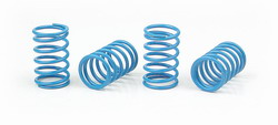 XRAY Spring-Set D=1.6 (20 LB) Light-Blue (4) 308385