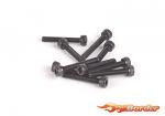 Schumacher SPEED PACK - M2.5x16 Cap Head (10) U7610