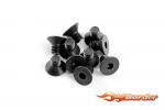 XRAY Hex Screw SFH M4x6 (10) 903416