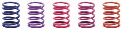 XRAY NT1 Spring-Set D=1.7 (30.5 LB) Violet - Medium - Front (2 338184