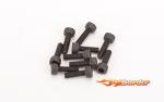 Schumacher SPEED PACK M3x10 Cap Head (10) U7113