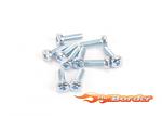 Schumacher SPEED PACK M3 x 10 Pan Head Pozi (10) U7220
