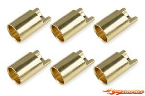 Corally  Ø6.5mm (6pcs.) Female 50164