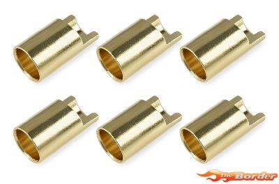 Corally Ø6.5mm (6pcs.) Female 50164