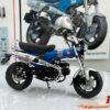 Tamiya Honda Dax 125 Limited Edition 1/12 Statisch Model 14142 - Afbeelding 2
