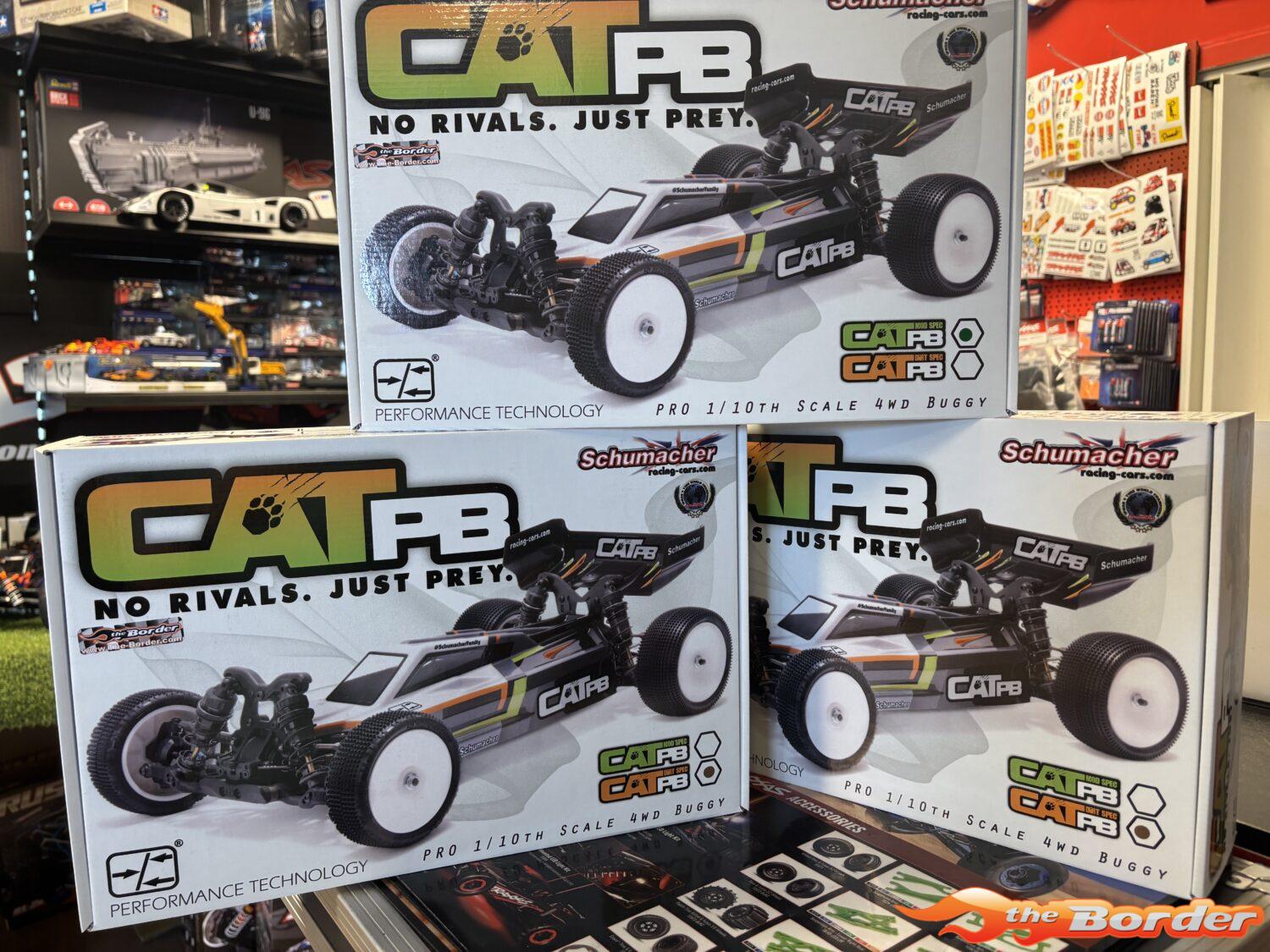 Schumacher CAT PB-M 1/10 4WD Buggy Kit (Mod Spec) K222 - Afbeelding 10